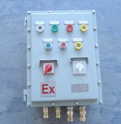 CBP54-DIP粉塵防爆動(dòng)力電磁起動(dòng)配電箱 專業(yè)廠家直銷(xiāo)，助力工業(yè)安全高效運(yùn)行